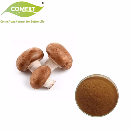 Pure Shiitake Mushroom Extract Lentinan Shiitake Beta D Glucan