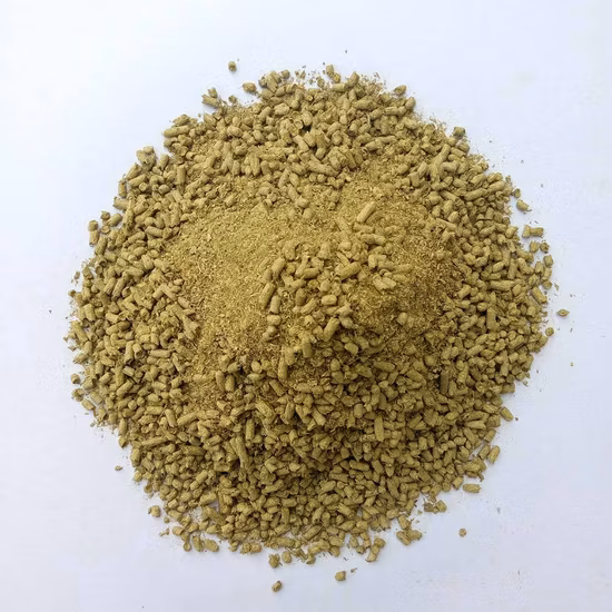 GMP Factory Wildchrysanthemenblütenextrakt/Chrysanthemum Indicum L Futter Chrysanthemenpollen