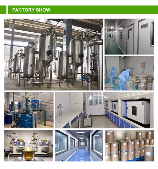 Reiner Shiitake-Pilzextrakt, Lentinan-Shiitake-Beta-D-Glucan